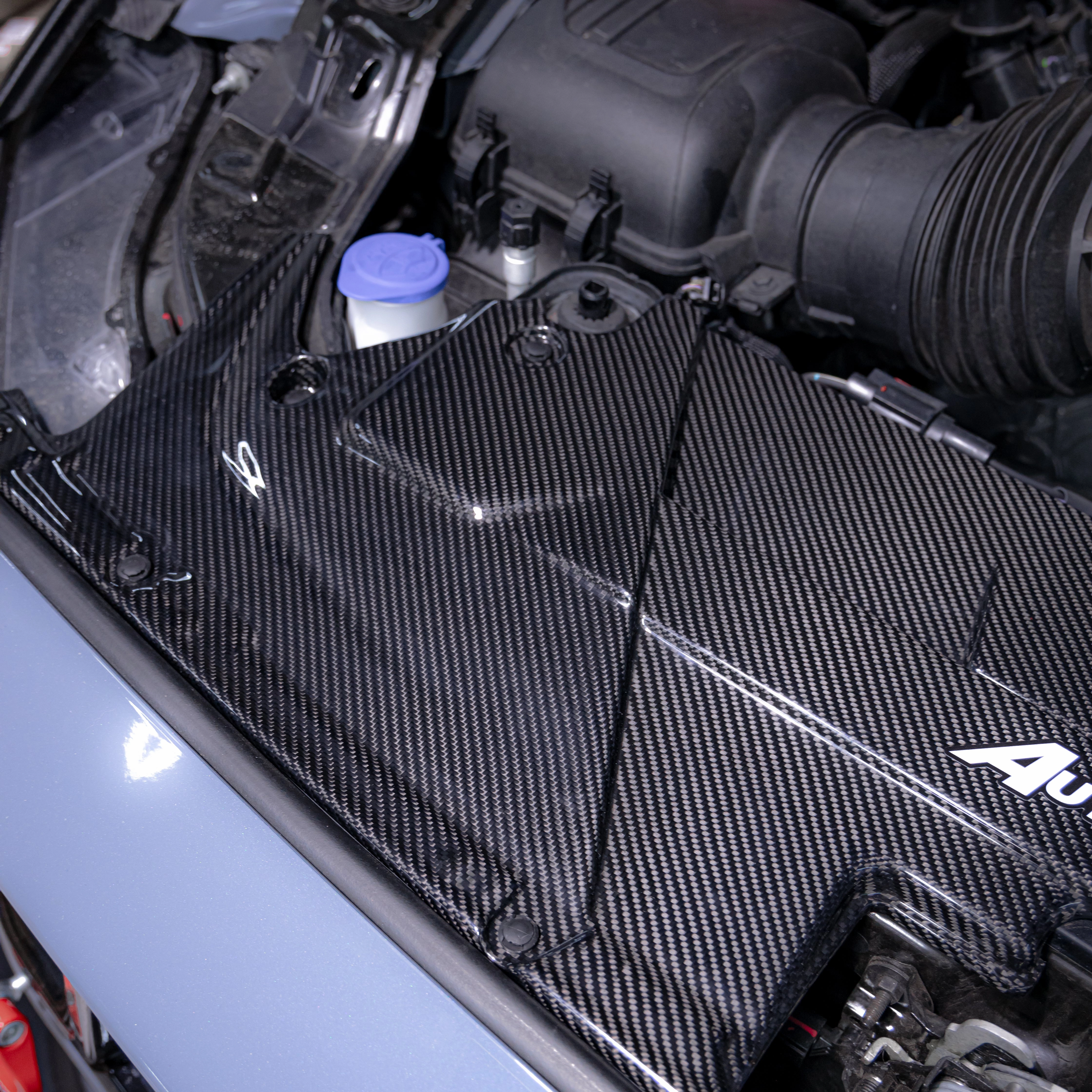2024   Ford Mustang S650 Carbon Fiber Radiator Cover