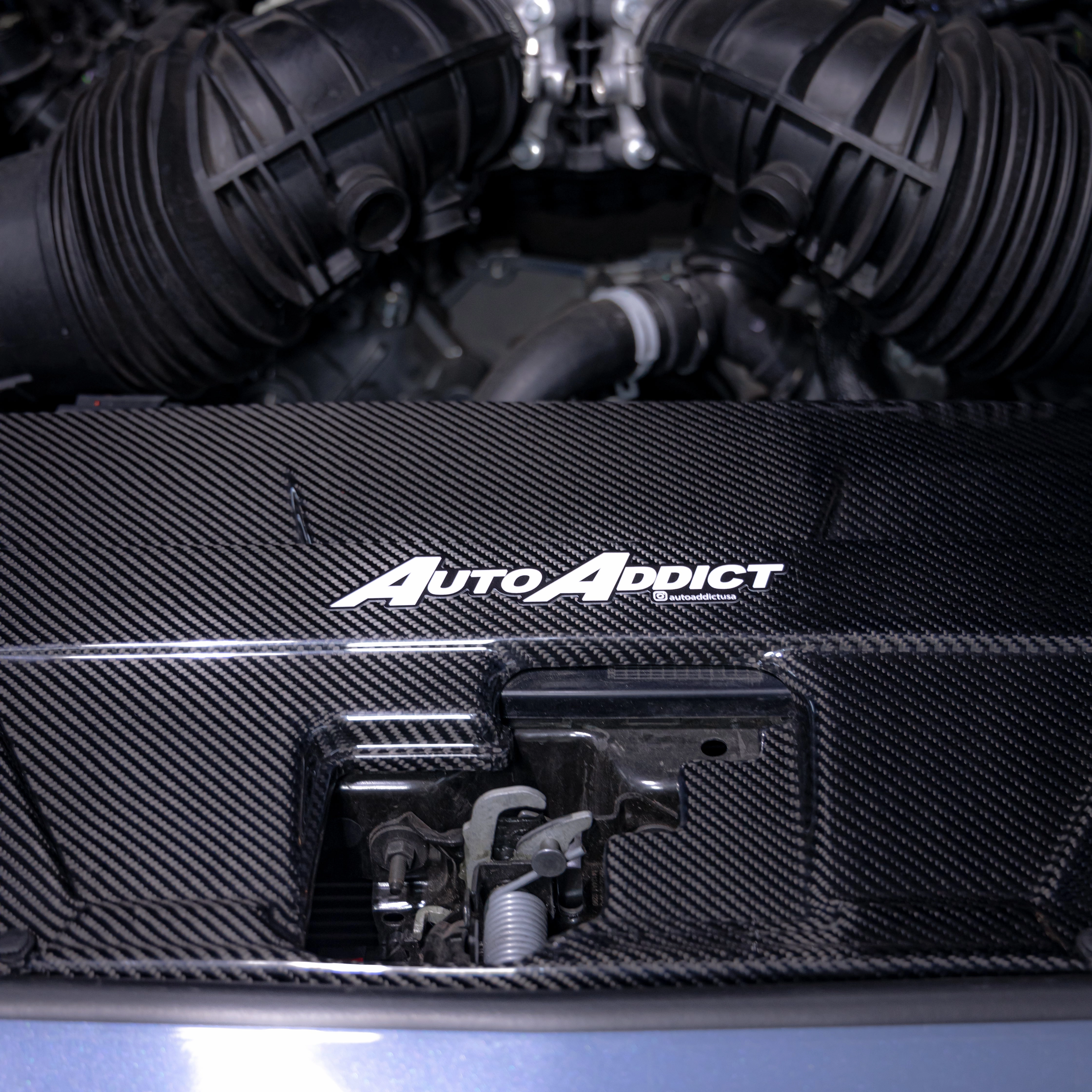 2024   Ford Mustang S650 Carbon Fiber Radiator Cover