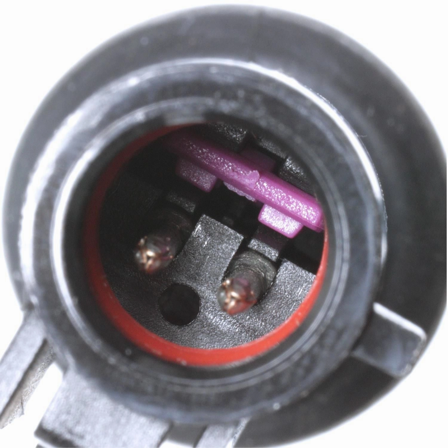ABS1975 BWD ABS Speed Sensor